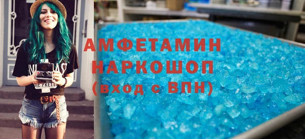 стаф Аркадак