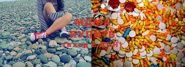 стаф Аркадак