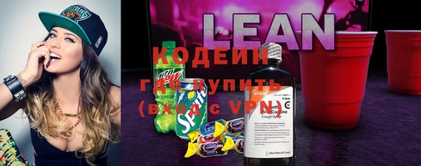 стаф Аркадак