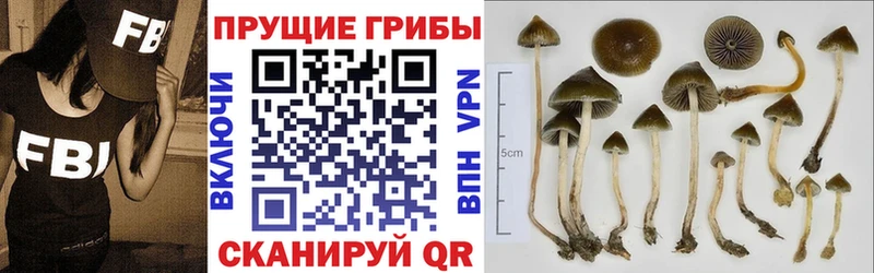 купить  цена  Феодосия  Псилоцибиновые грибы мухоморы 